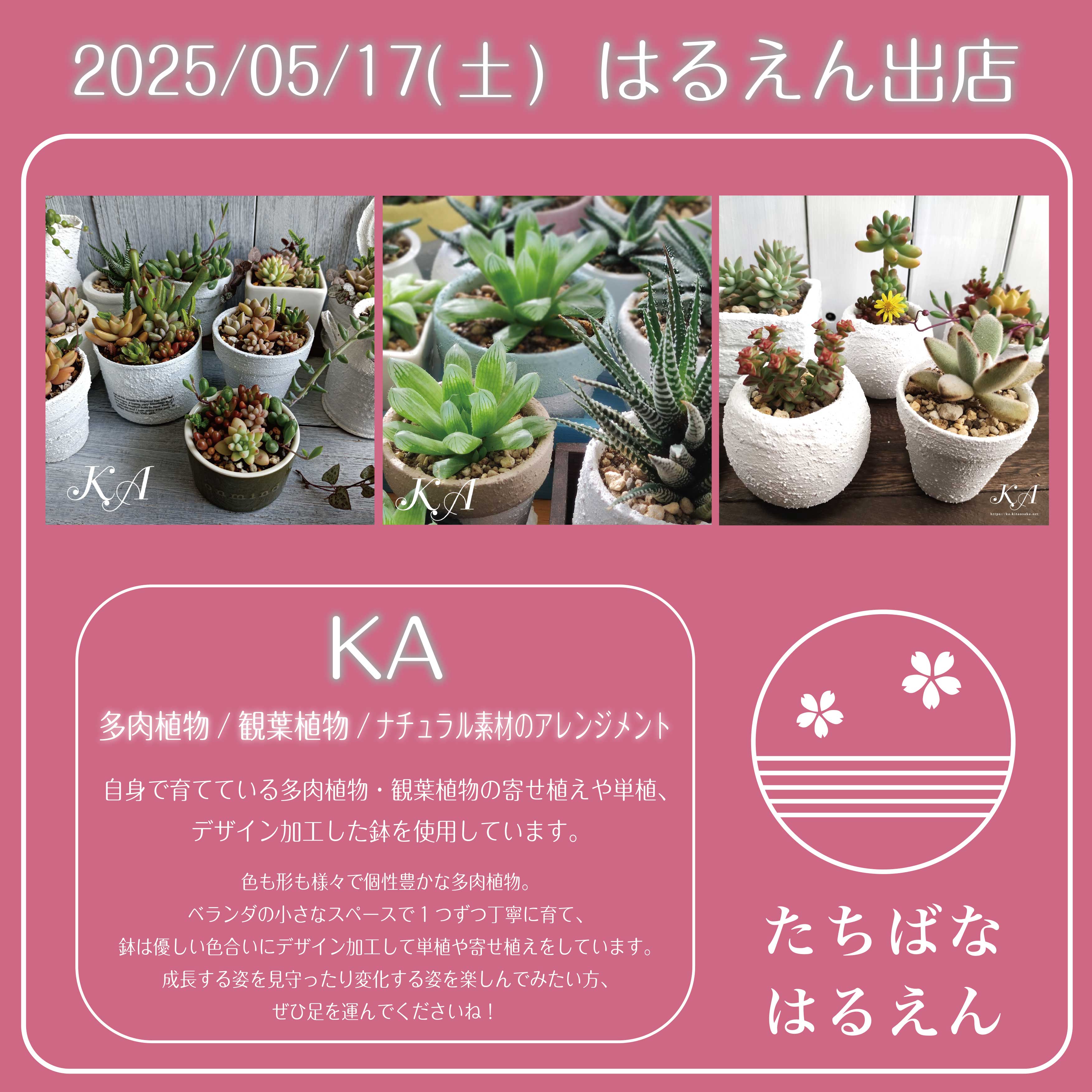2025たちばな はるのえんがわ