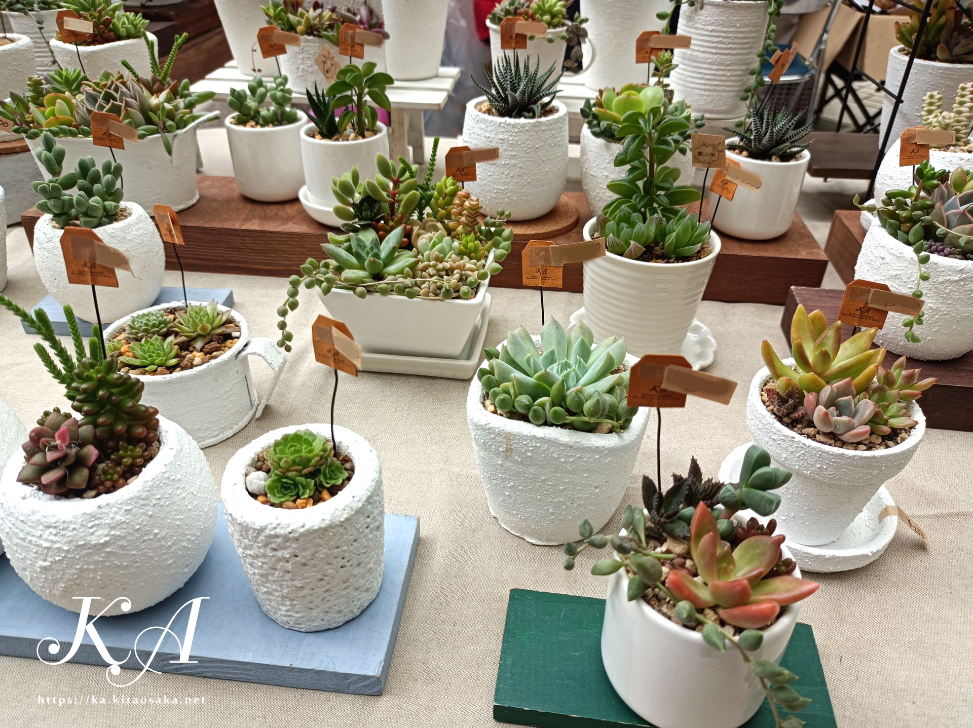 せんちゅうパルフェス2025秋の大演会　パルマルシェ出店の様子