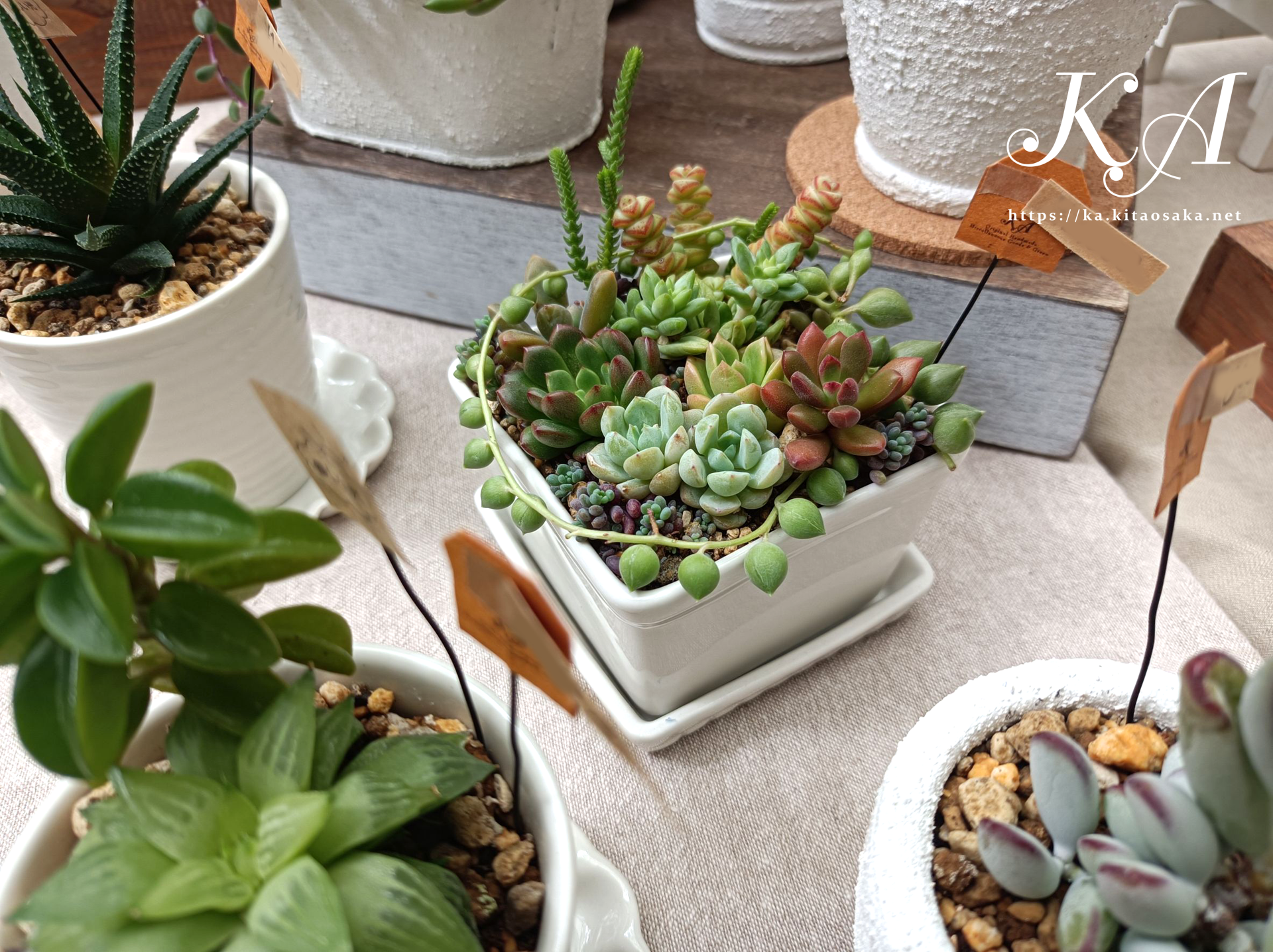 せんちゅうパルフェス2025秋の大演会　パルマルシェ出店の様子