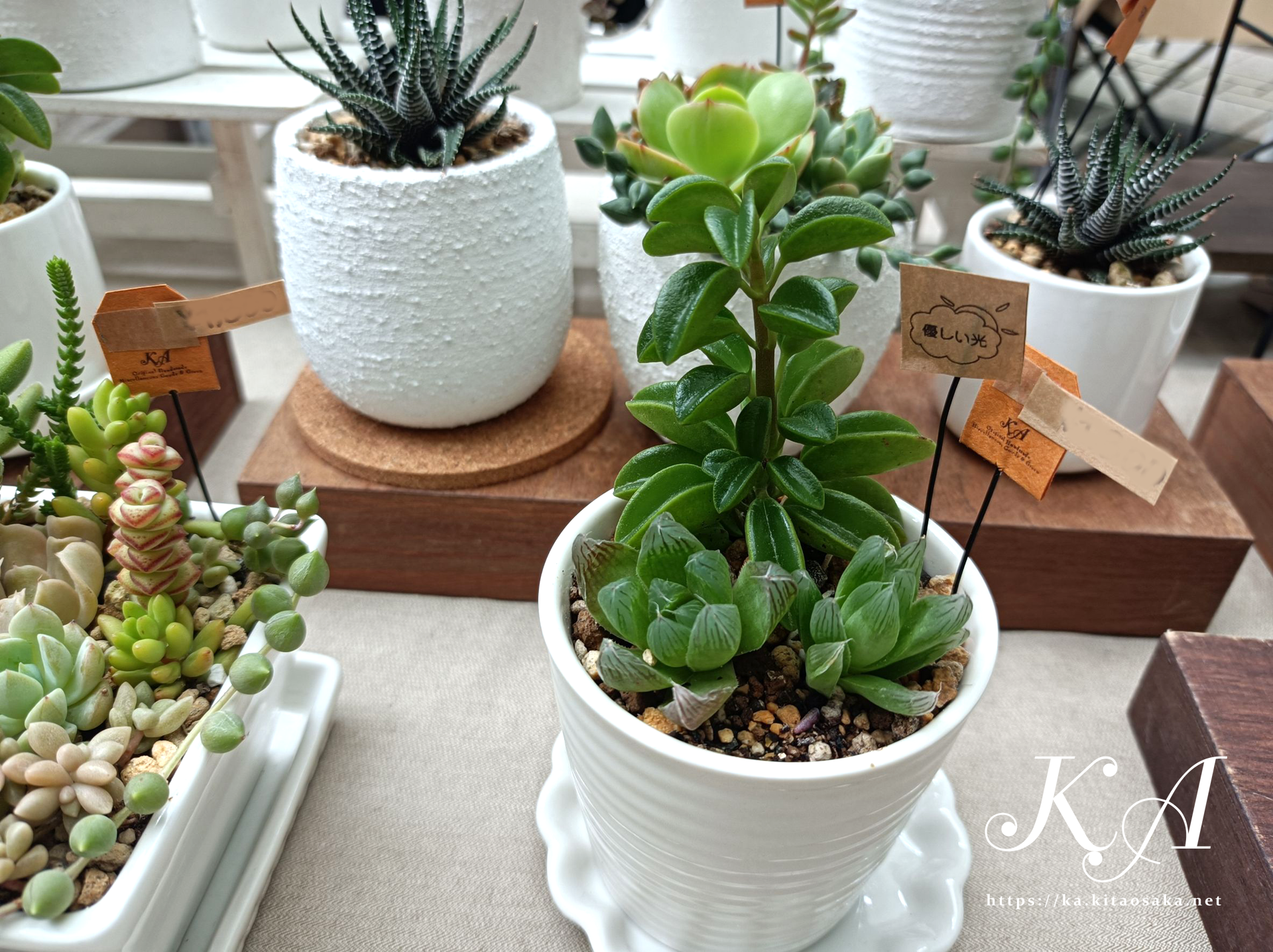 せんちゅうパルフェス2025秋の大演会　パルマルシェ出店の様子