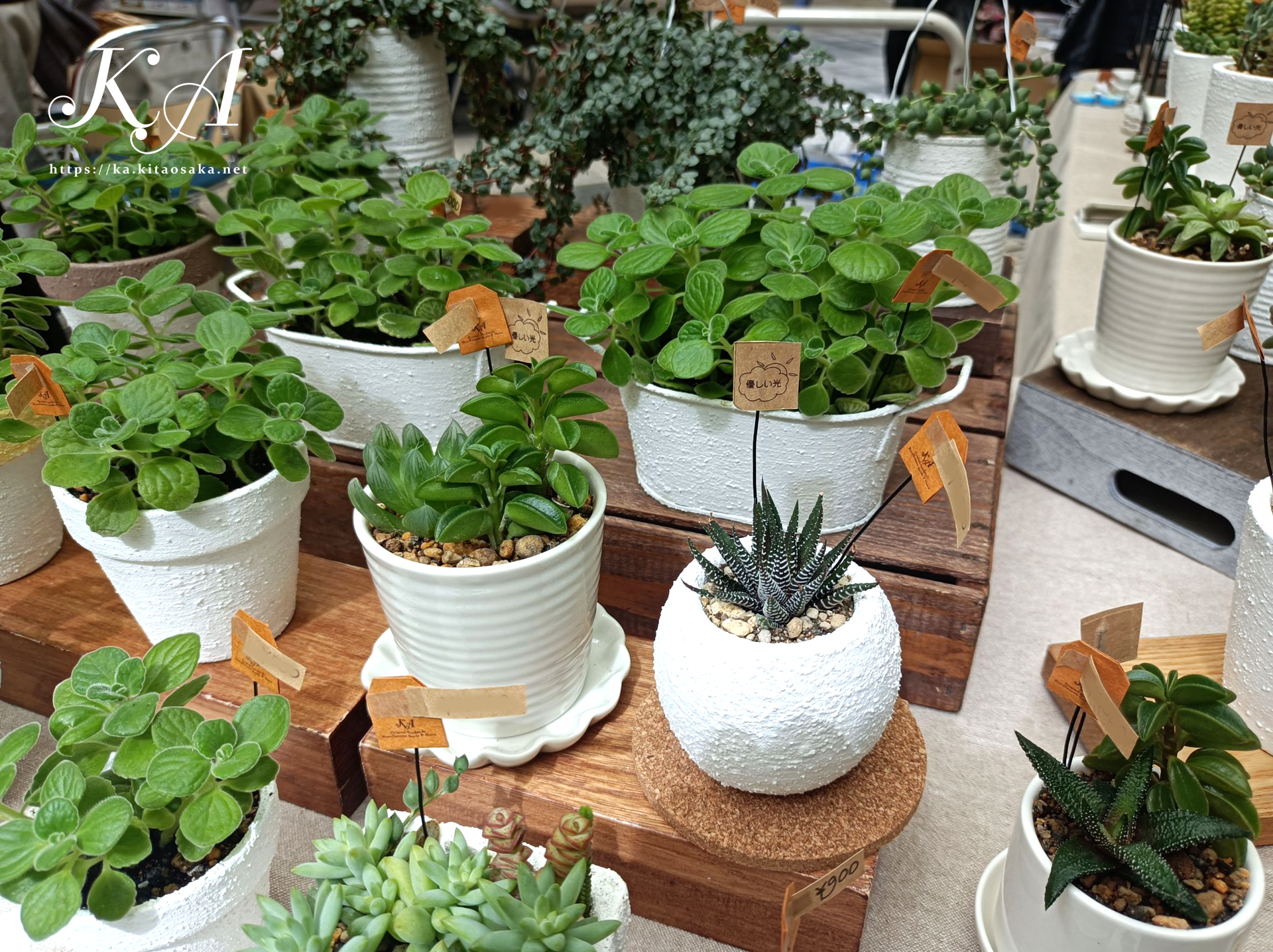 せんちゅうパルフェス2025秋の大演会　パルマルシェ出店の様子