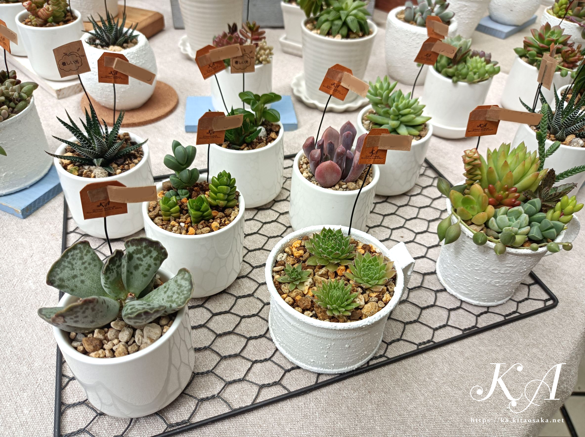 せんちゅうパルフェス2025秋の大演会　パルマルシェ出店の様子