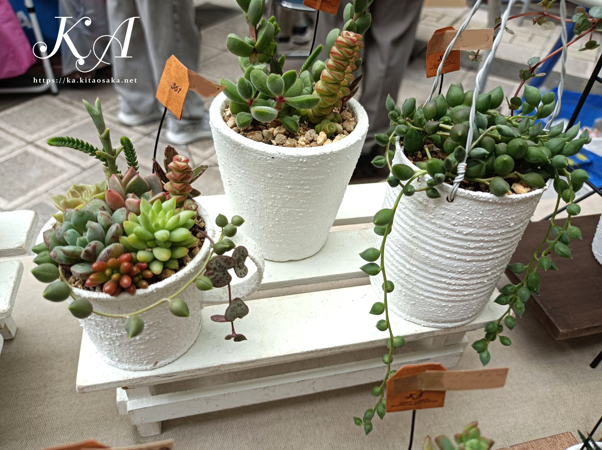 せんちゅうパルフェス2025秋の大演会　パルマルシェ出店の様子