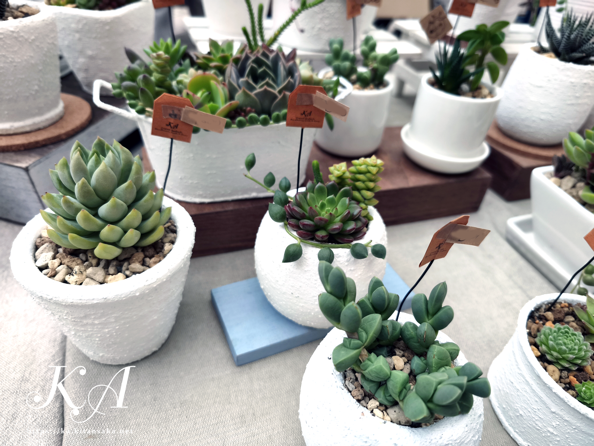 せんちゅうパルフェス2025秋の大演会　パルマルシェ出店の様子