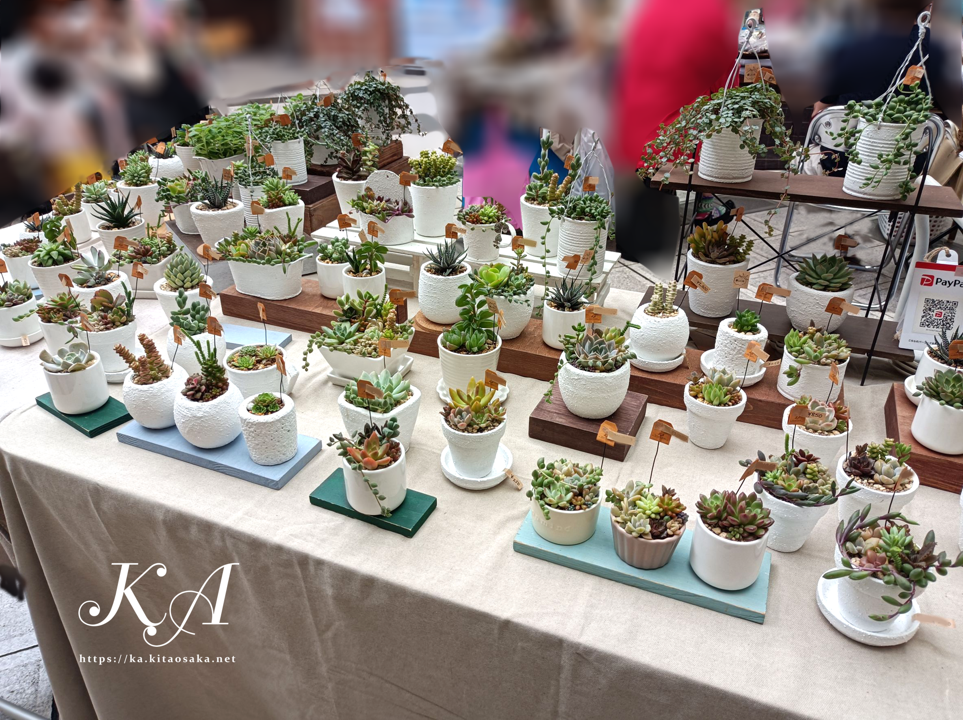 せんちゅうパルフェス2025秋の大演会　パルマルシェ出店の様子