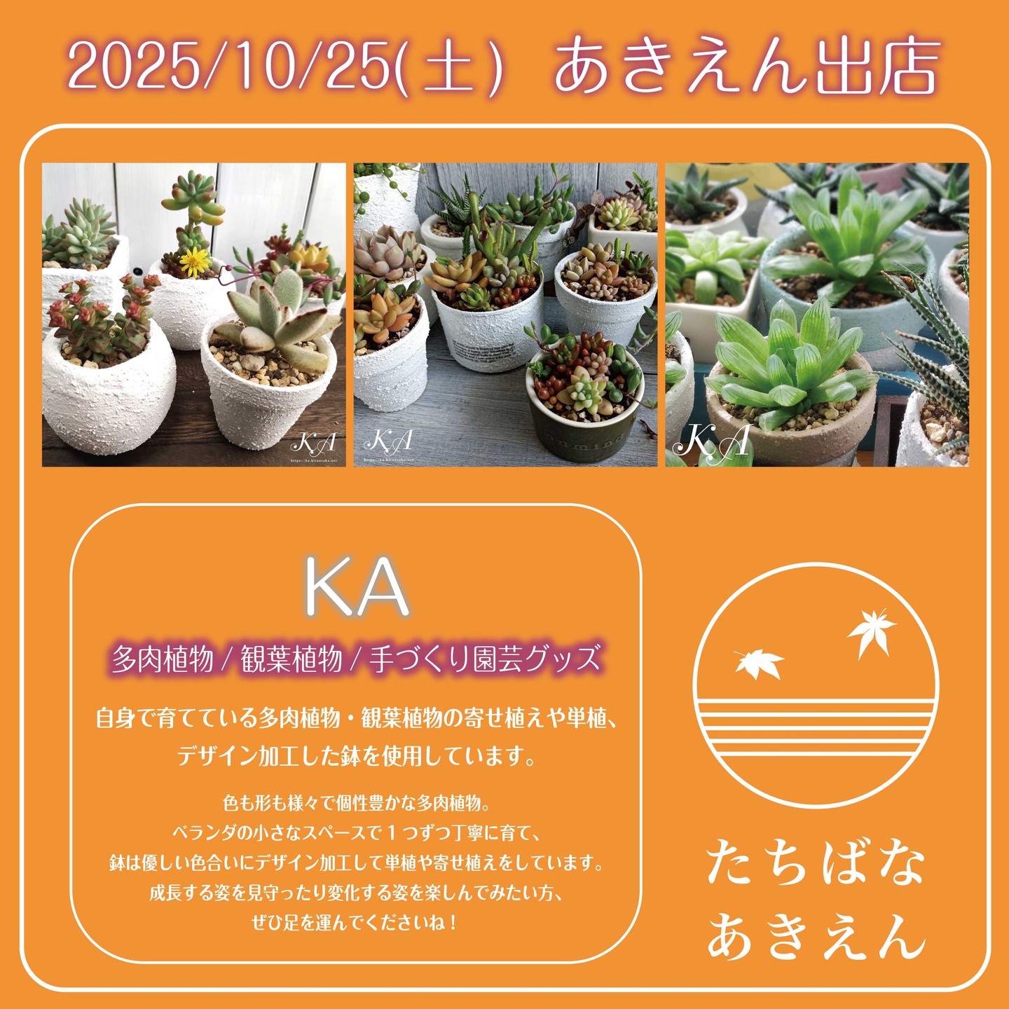 2025たちばな あきのえんがわ概要