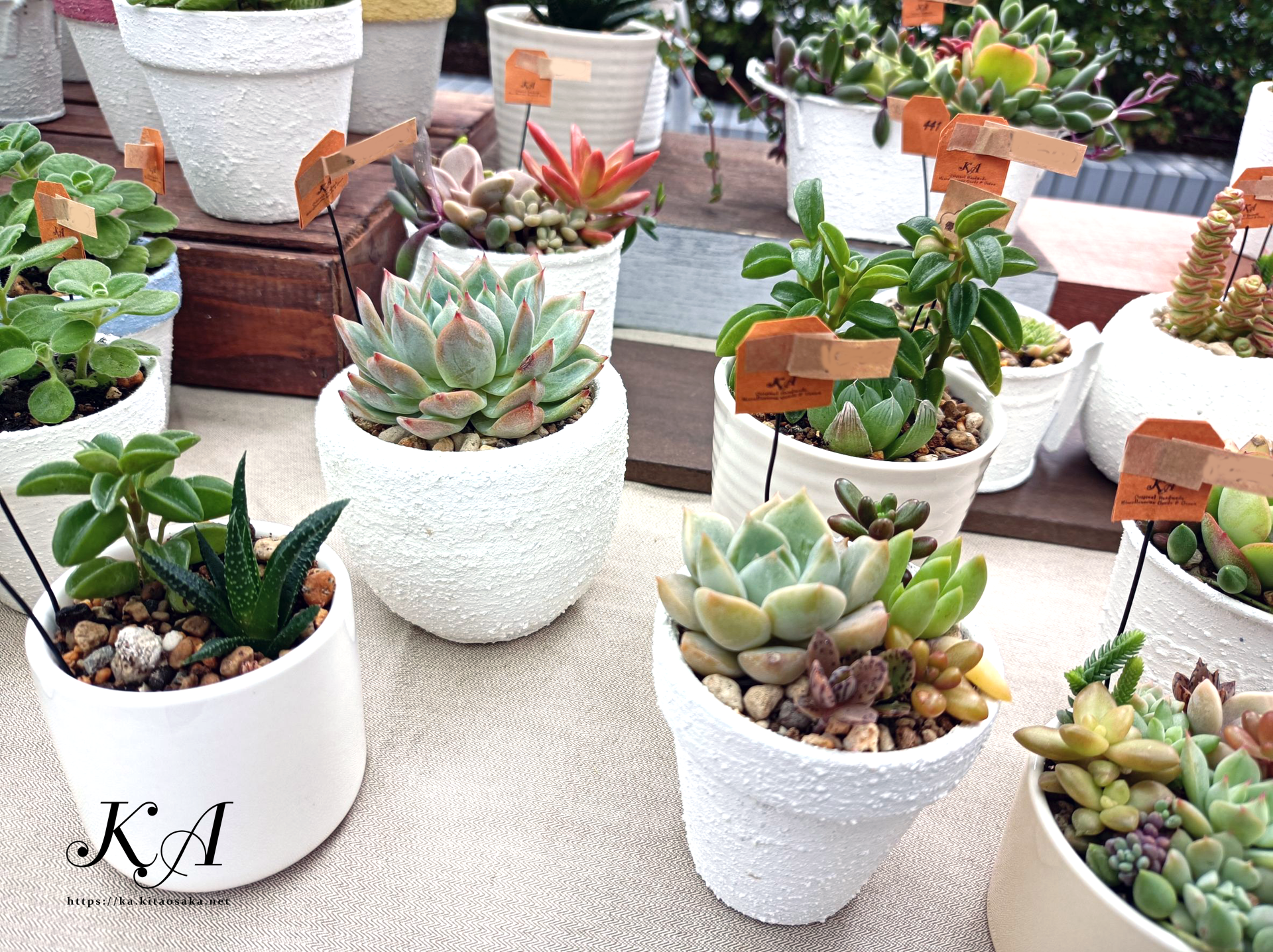 2025たちばな あきのえんがわでのKA出店風景