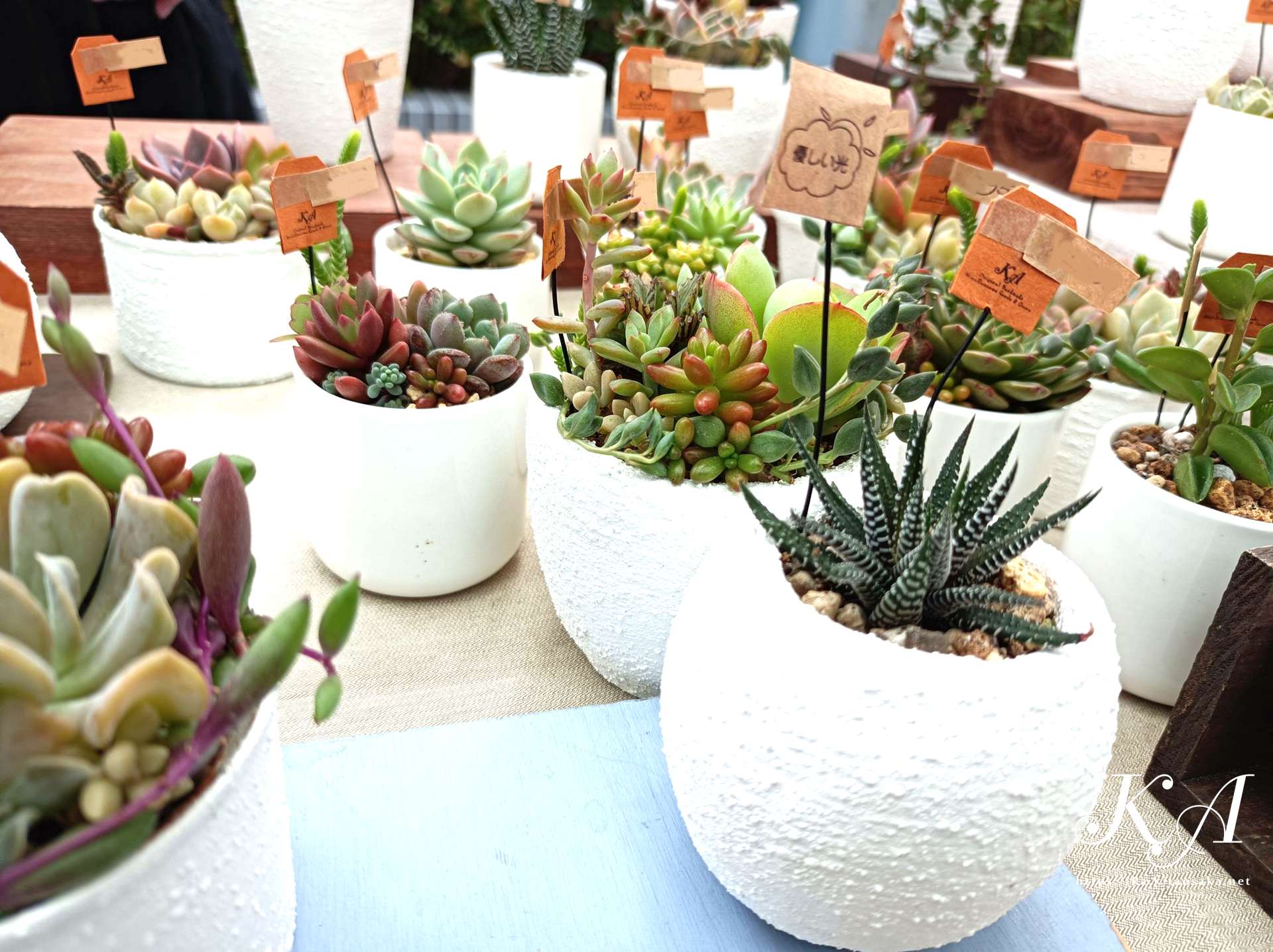 2025たちばなあきのえんがわでのKA出店風景