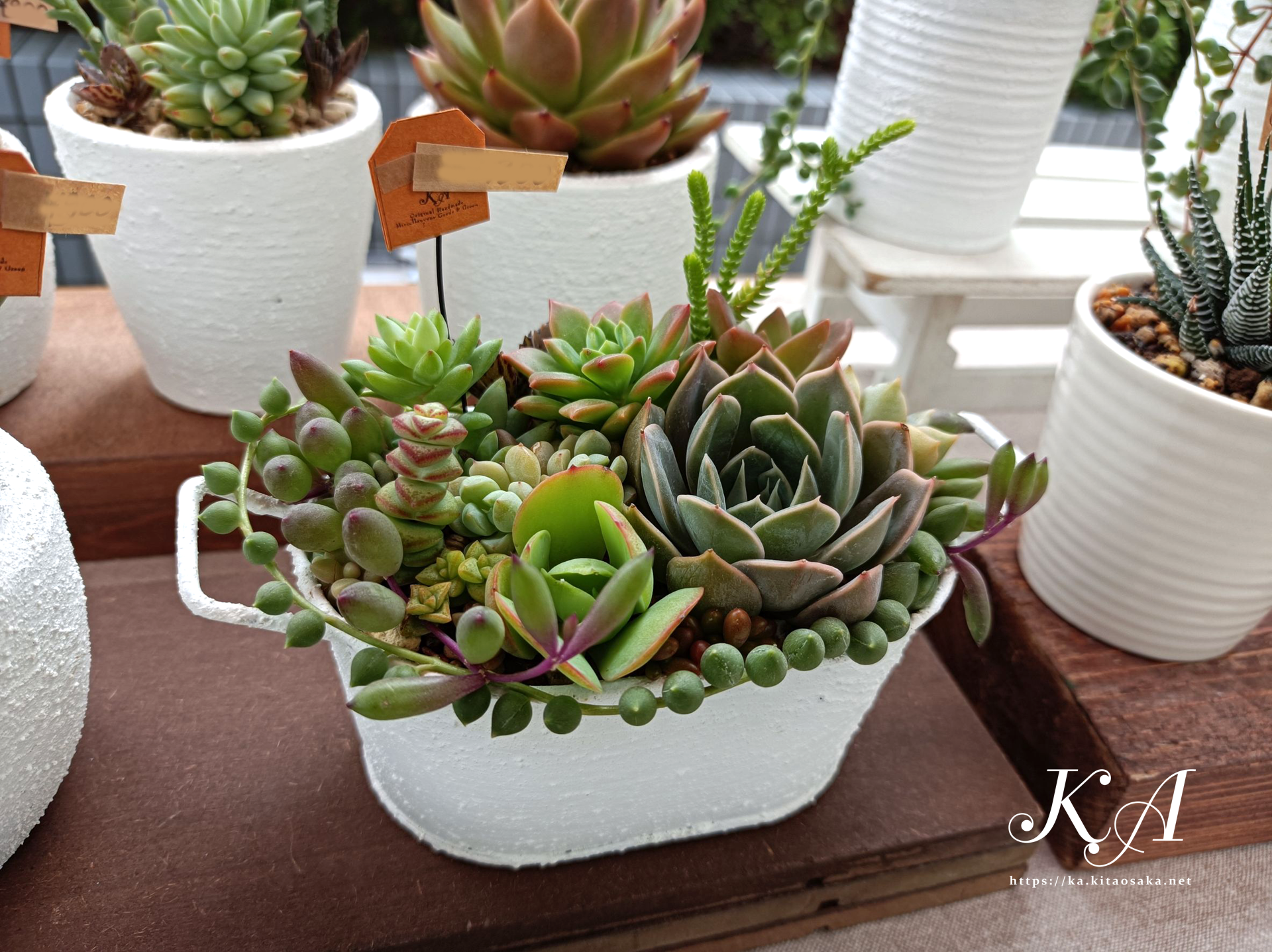 2025たちばなあきのえんがわでのKA出店風景