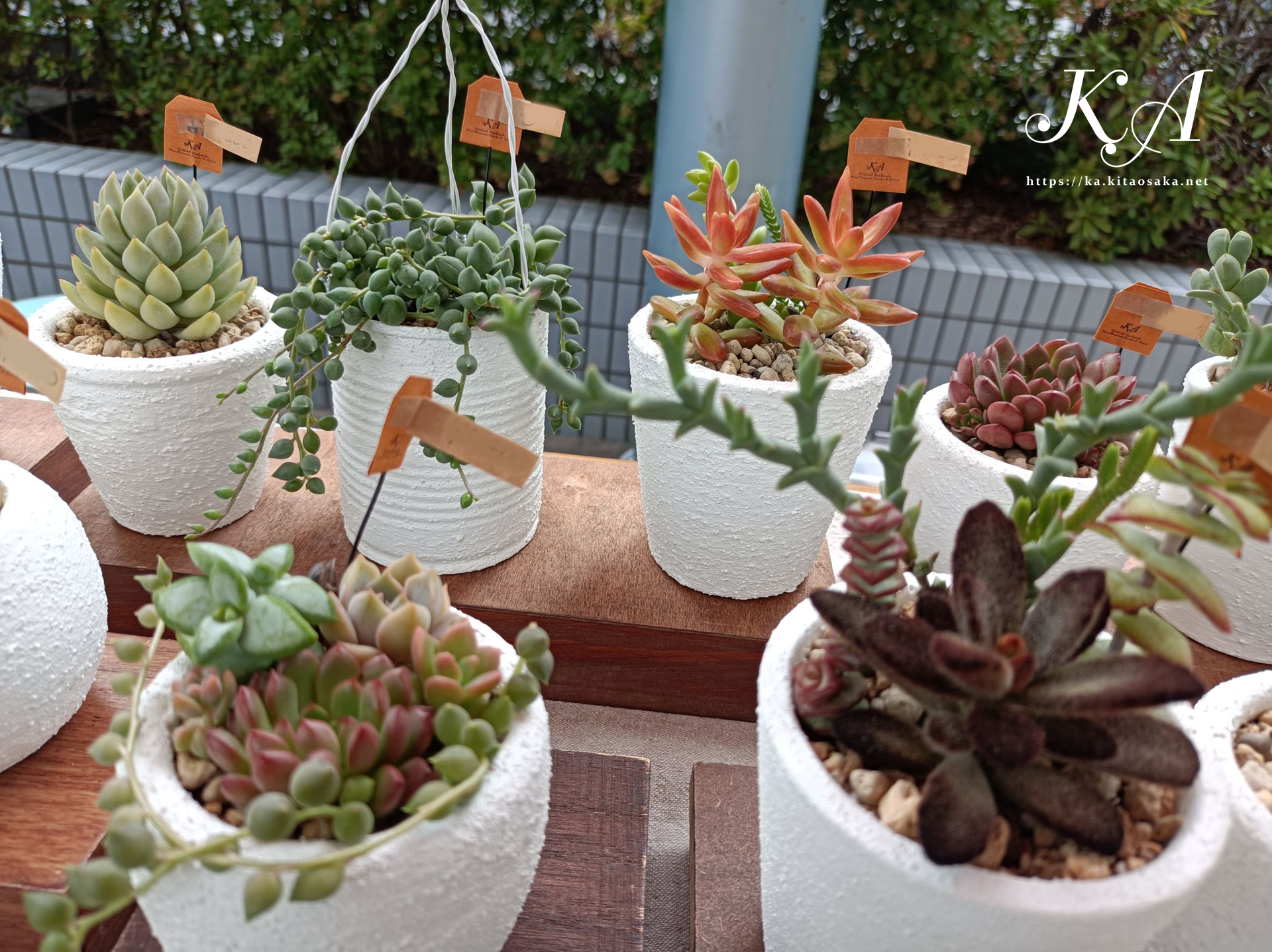 2025たちばなあきのえんがわでのKA出店風景