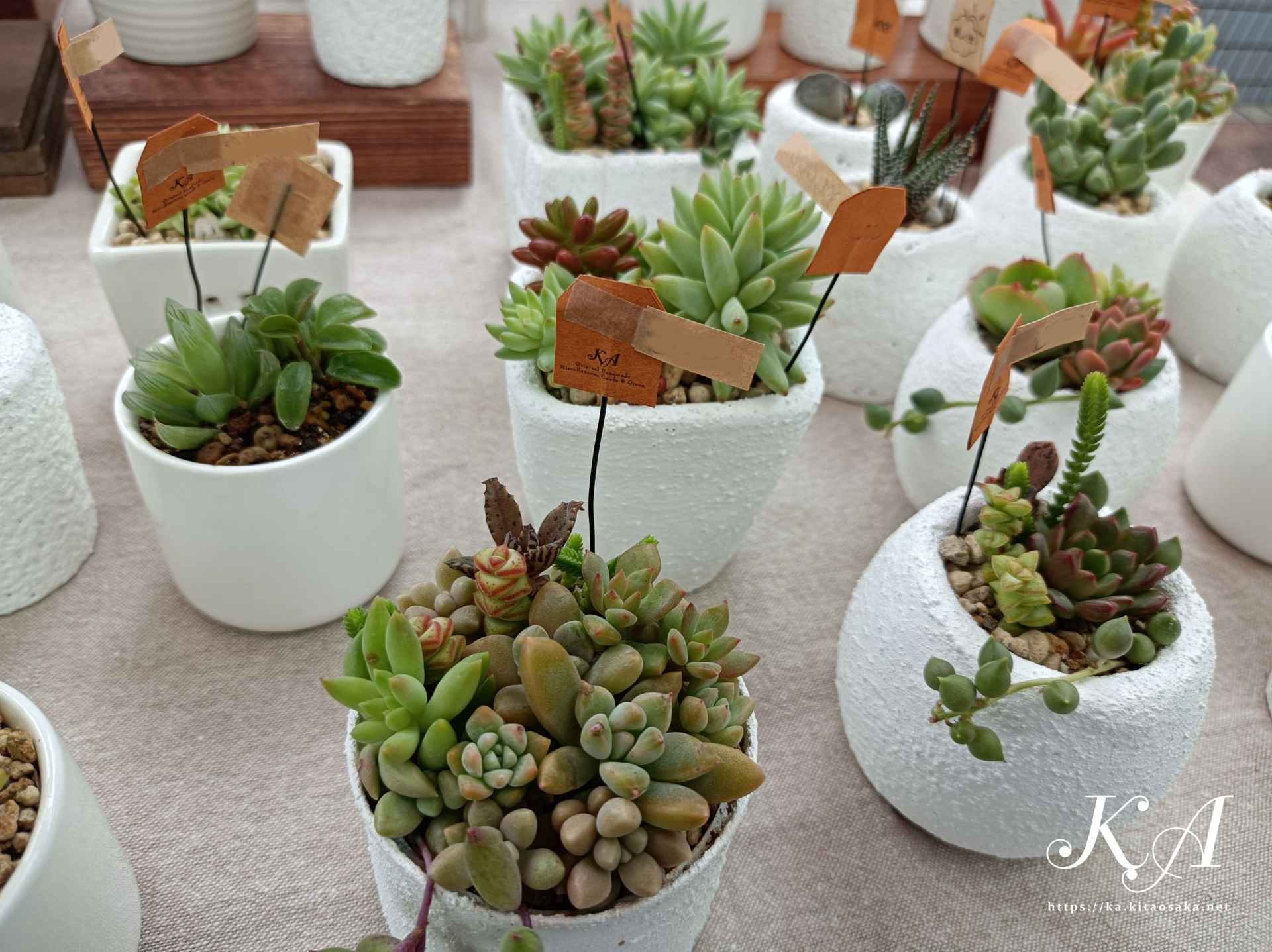 2025たちばなあきのえんがわでのKA出店風景