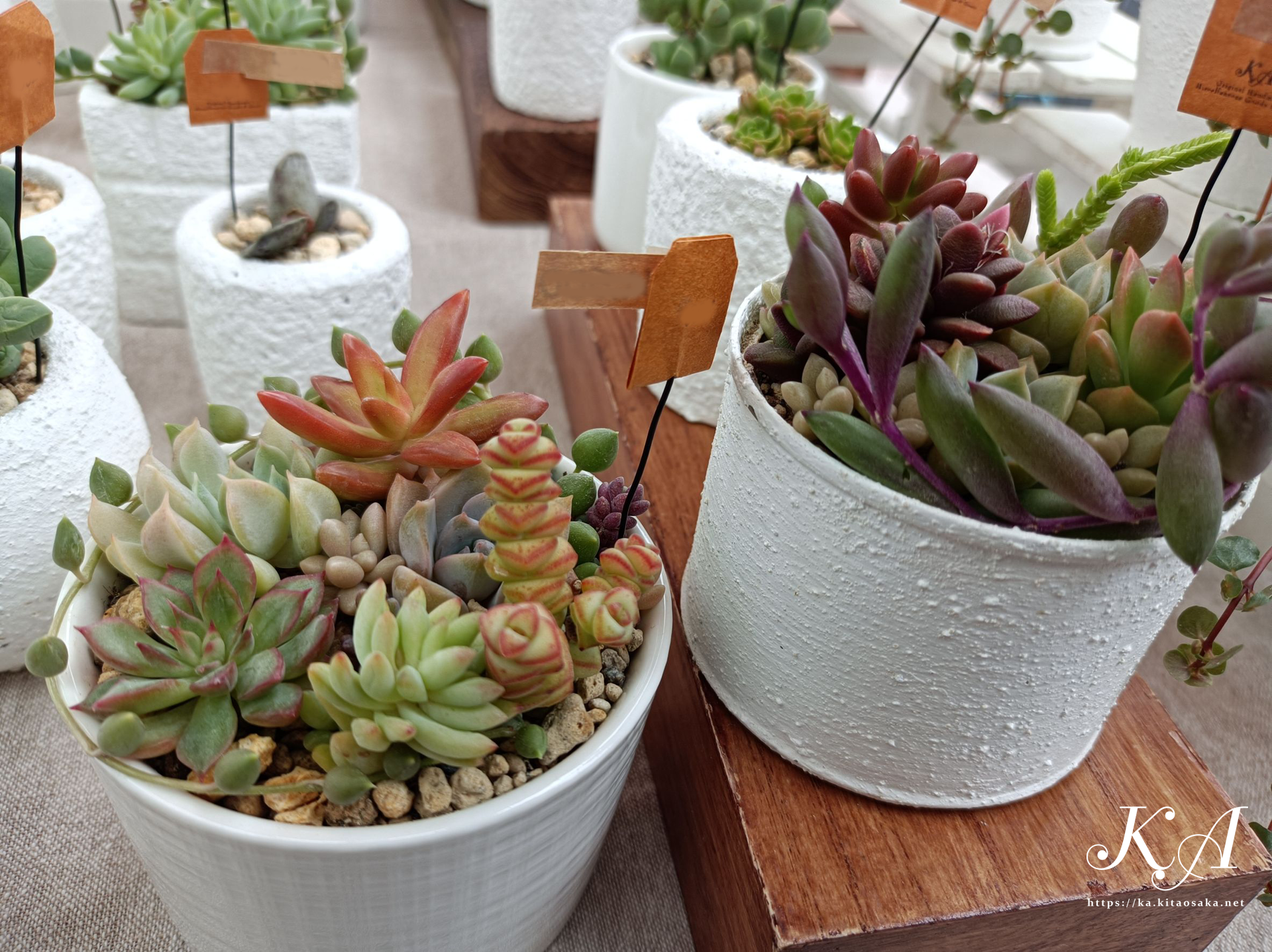 2025たちばなあきのえんがわでのKA出店風景