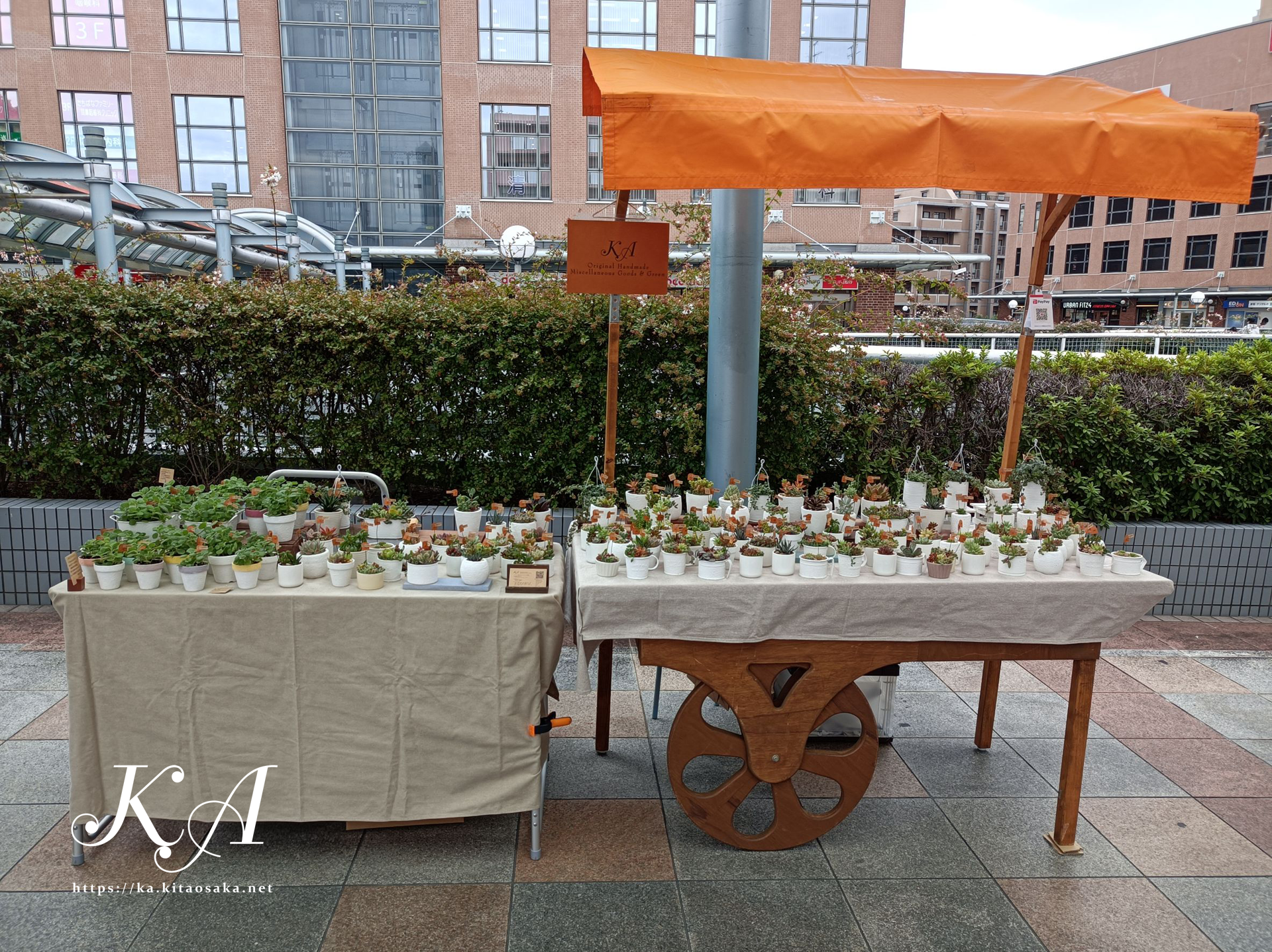 2025たちばなあきのえんがわでのKA出店風景