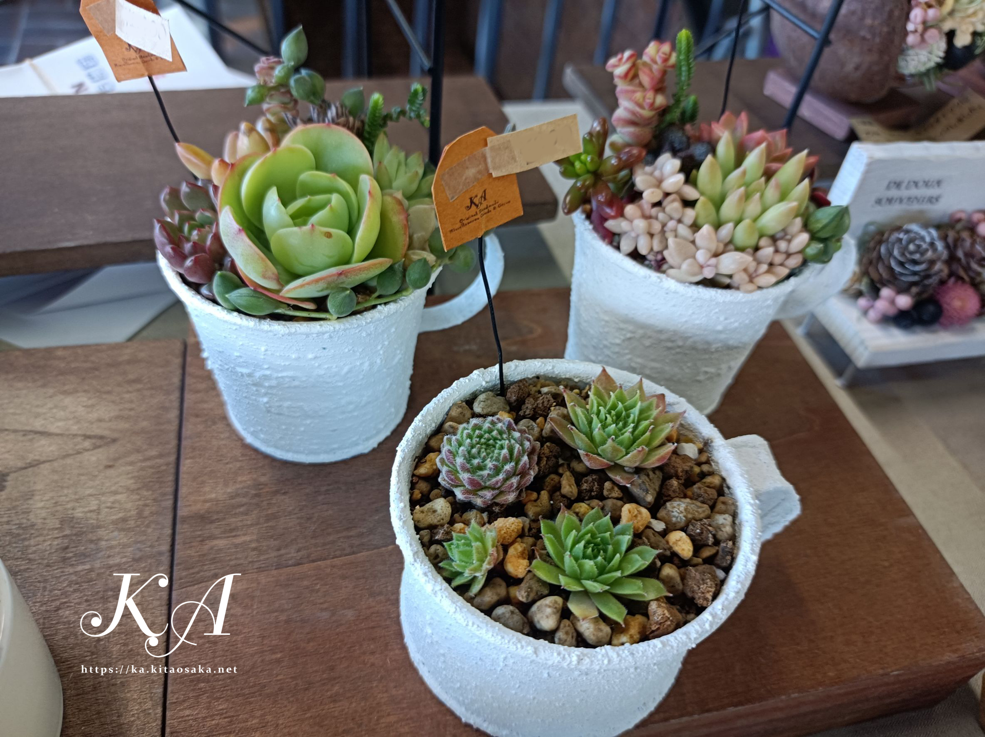 Ｎビルマーケット当日の様子 2025年11月16日