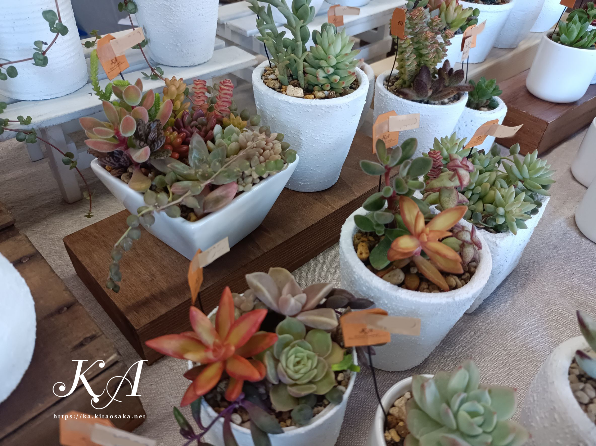 Ｎビルマーケット当日の様子 2025年11月16日