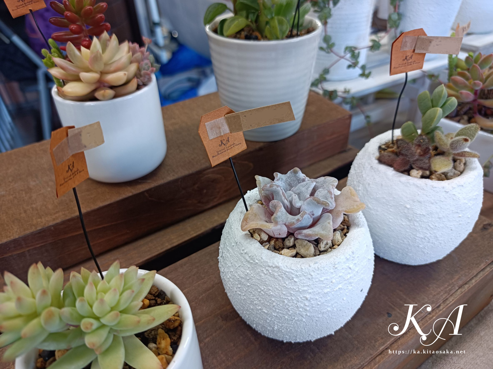 Ｎビルマーケット当日の様子 2025年11月16日