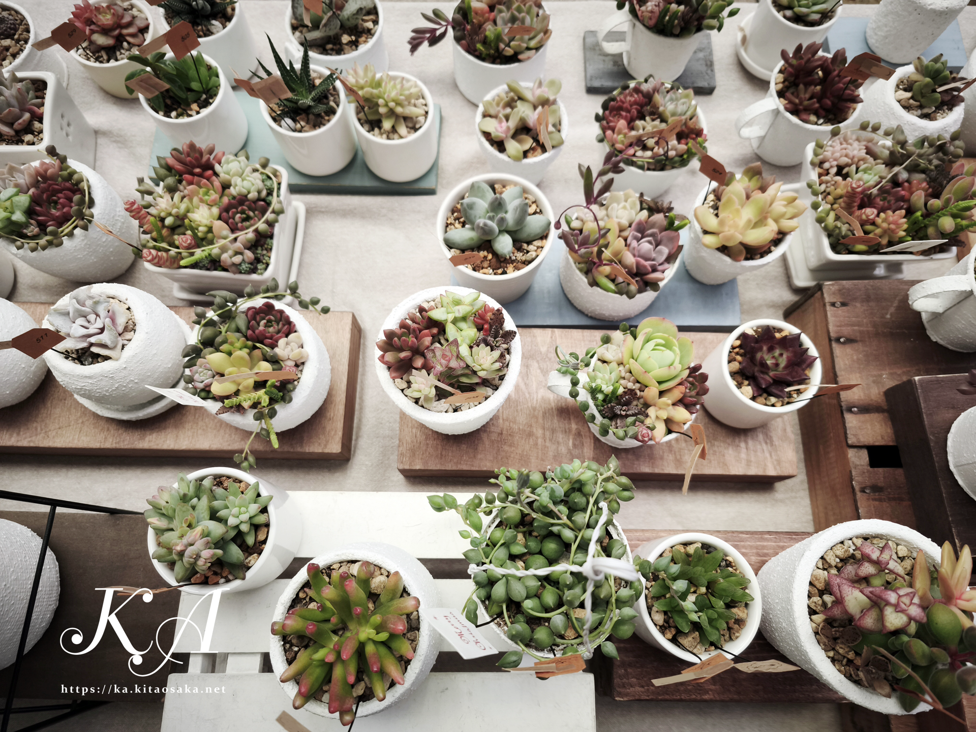 36th みくに楽市楽座マルシェ　2024年12月7日（日）当日の様子