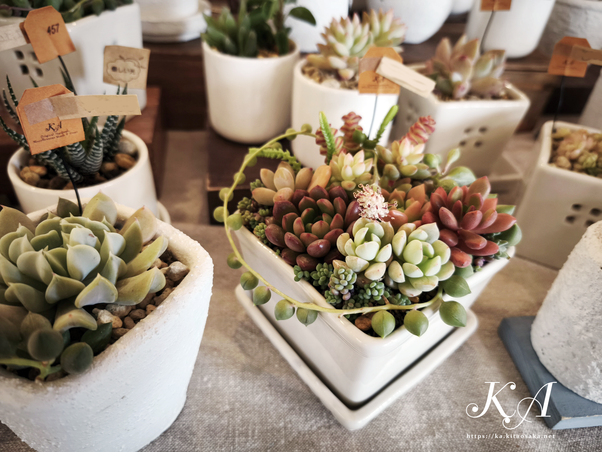 いろどりマルシェ オアシスタウンキセラ川西　2025年12月21日（土）当日の様子