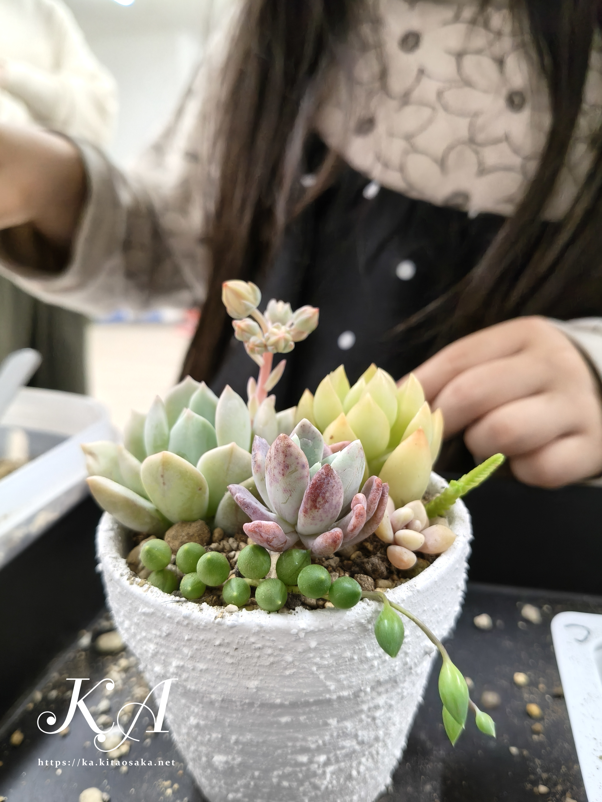 多肉植物の寄せ植え体験＆里親カフェ　里親支援センター　ウェルこころの様子