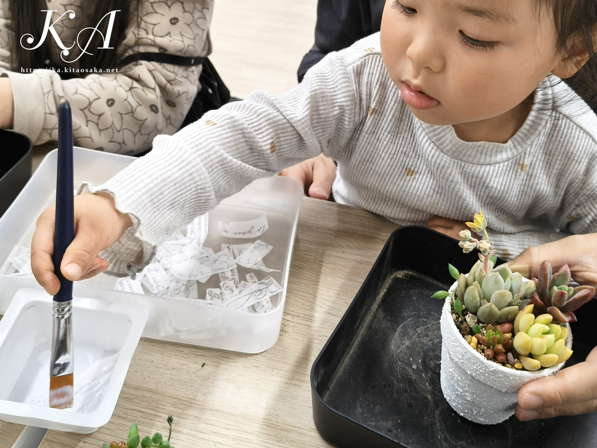 多肉植物の寄せ植え体験＆里親カフェ　里親支援センター　ウェルこころの様子