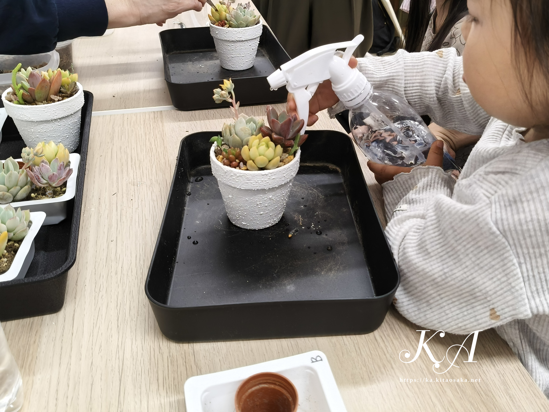 多肉植物の寄せ植え体験＆里親カフェ　里親支援センター　ウェルこころの様子