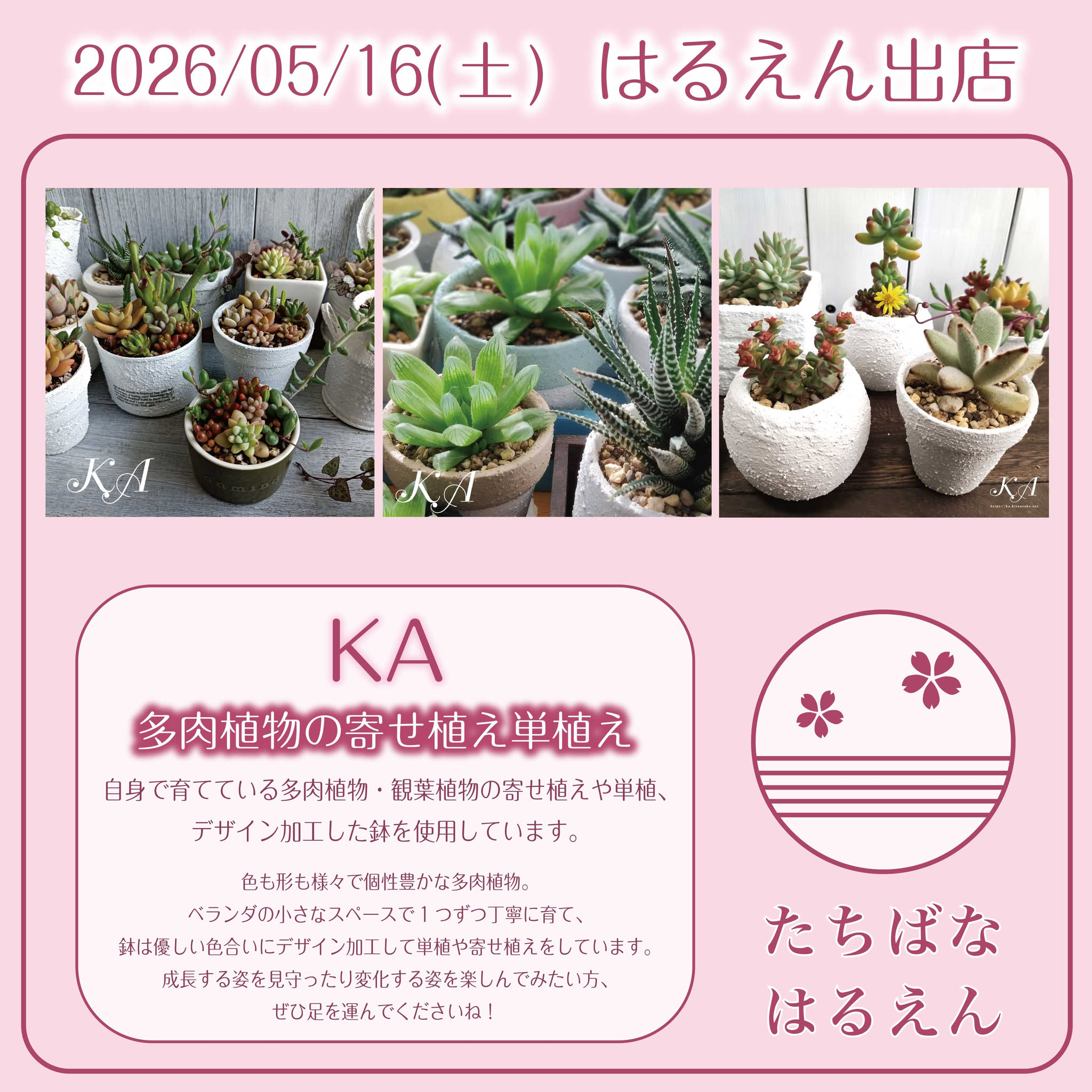 2026たちばなはるのえんがわ　2026年5月16日（土）